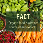Organic Food is Better for you!